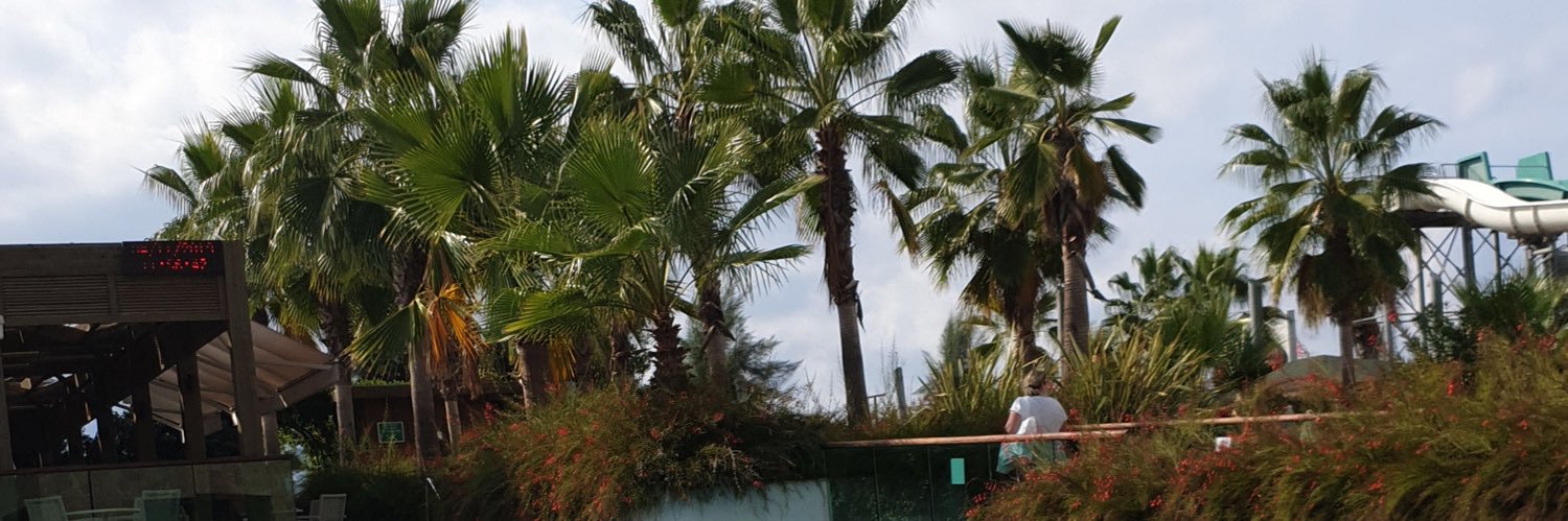 stefankusche9's profile banner image