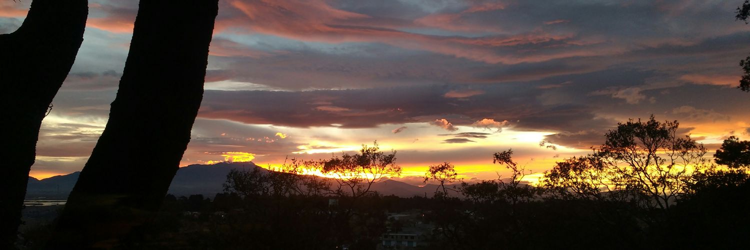 Pablo Martínez banner