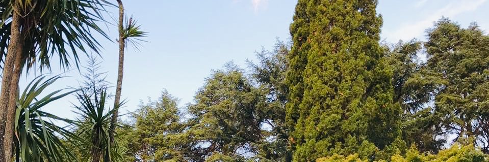 BustamanteCami's profile banner image