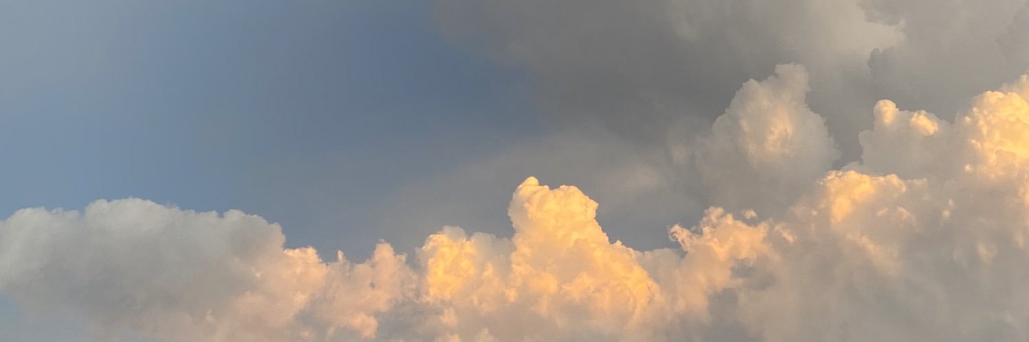 nataliegta's profile banner image