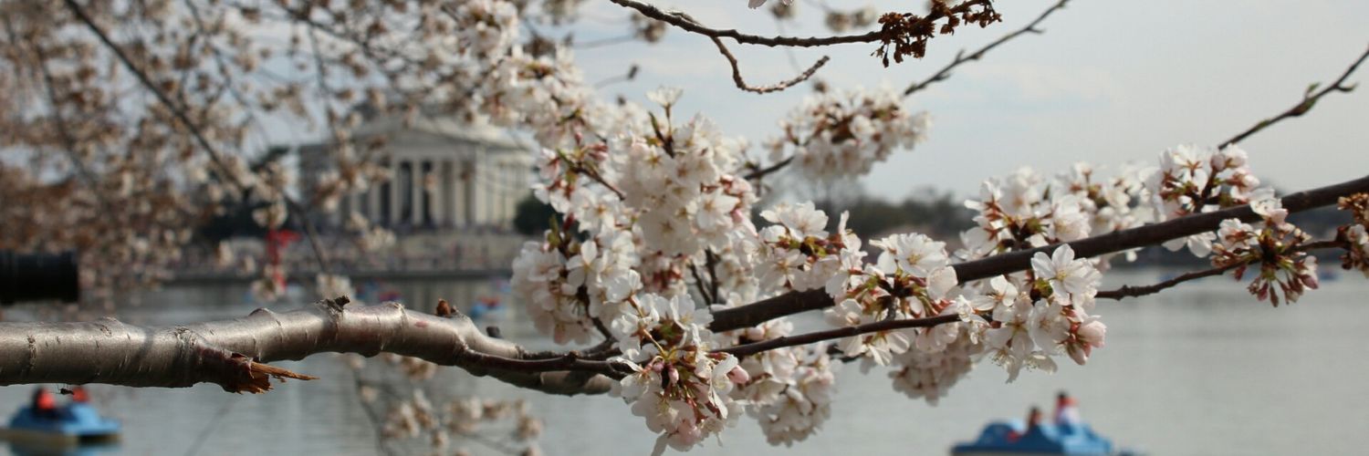smitaabraham's profile banner image