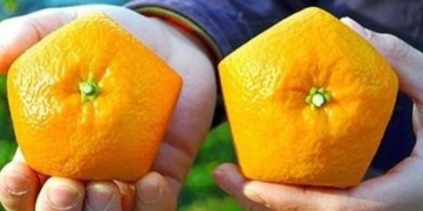 BryanLo32775335's profile banner image