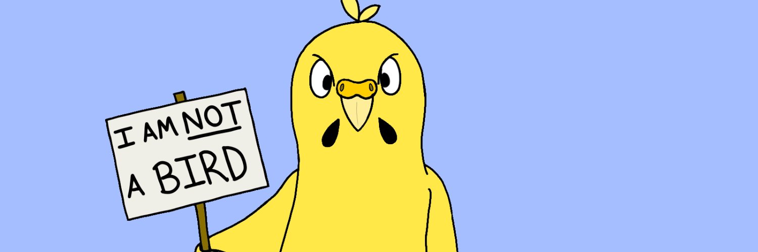 russianparakeet's profile banner image