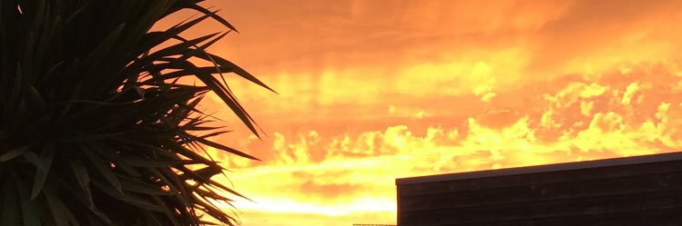YUNOWALAMSAY's profile banner image