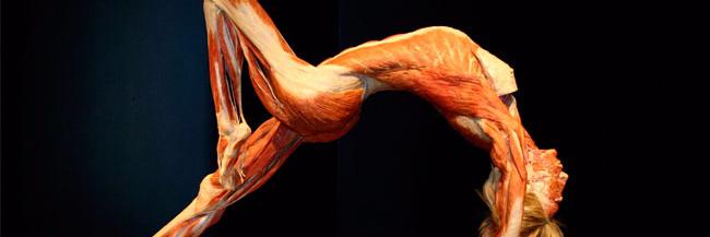 WeendOLyynee's profile banner image