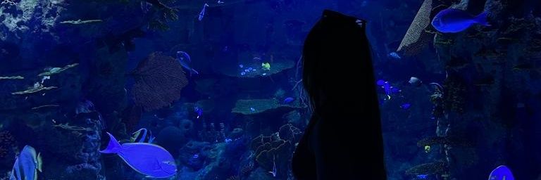 elsaramos_98's profile banner image