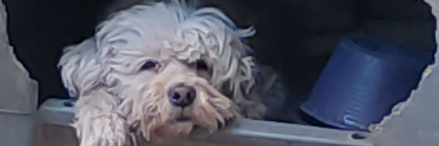 marioortiz5's profile banner image