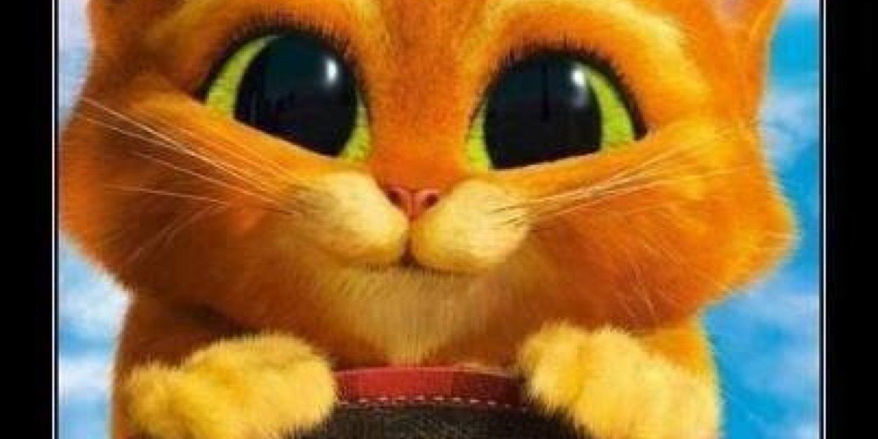 LuisMPLuisin's profile banner image