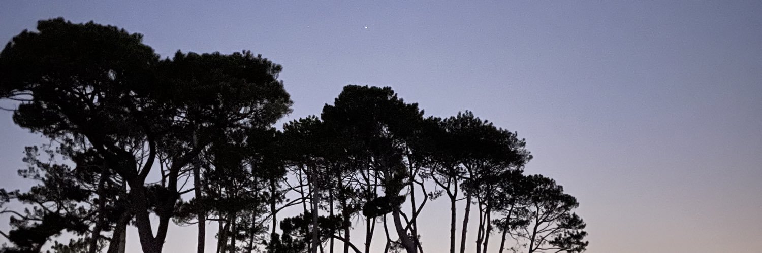 samlapadat's profile banner image