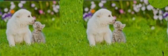 XFunny4u's profile banner image