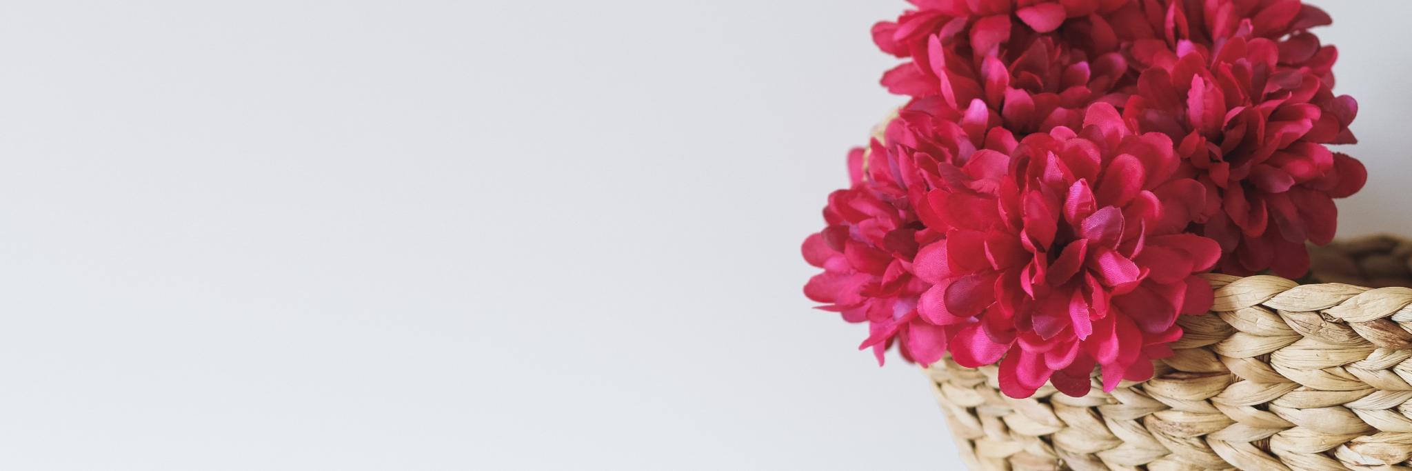 akgonzalezg's profile banner image