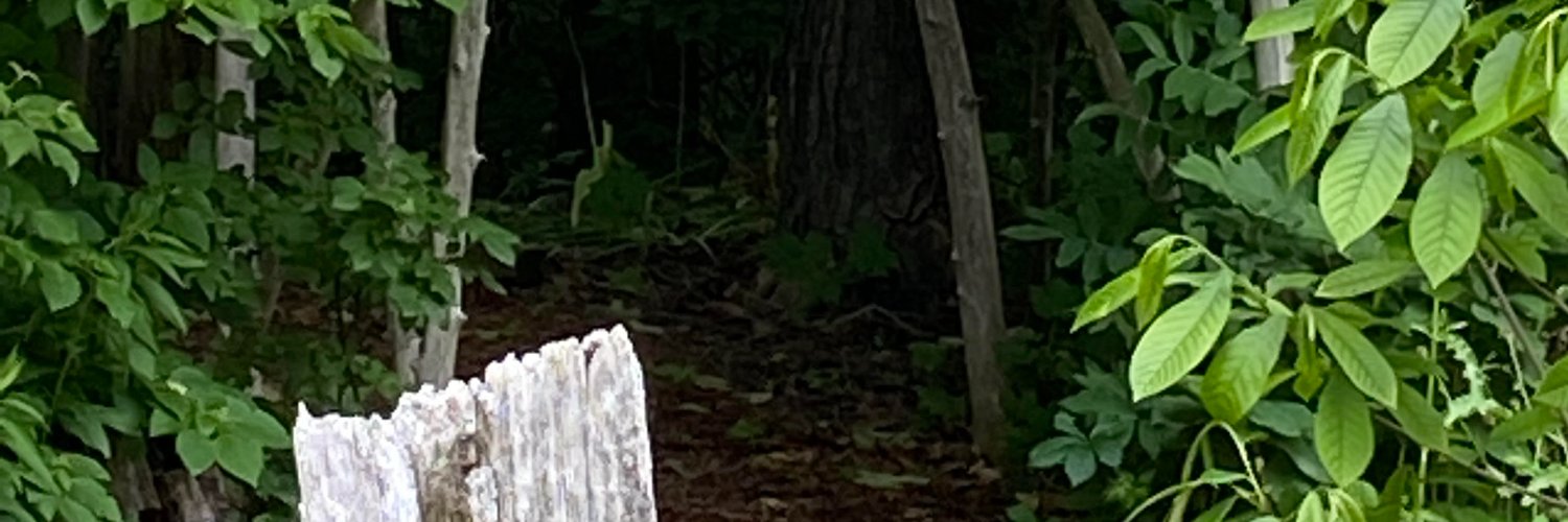 barb swartzentruber banner