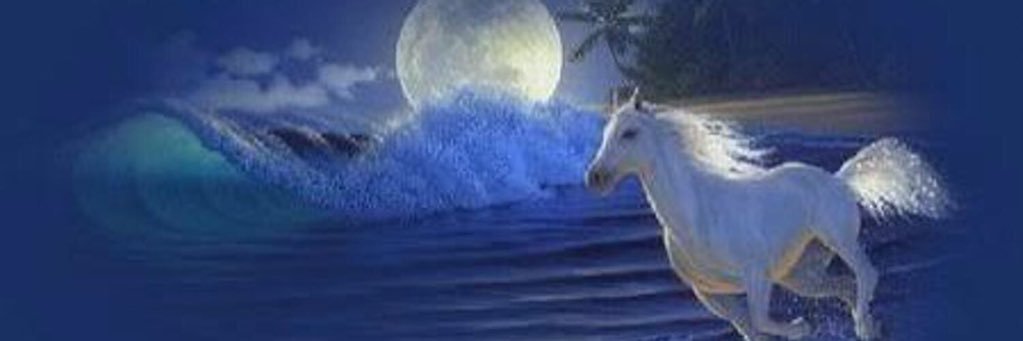 ﮼ابوممدوح banner