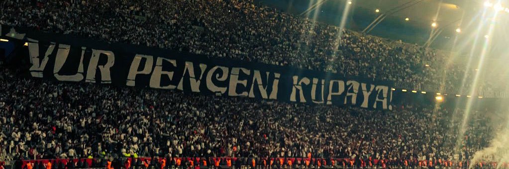 evrnylcn's profile banner image