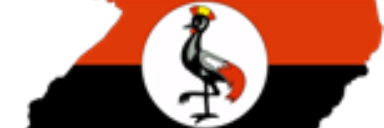 ampanafrican's profile banner image