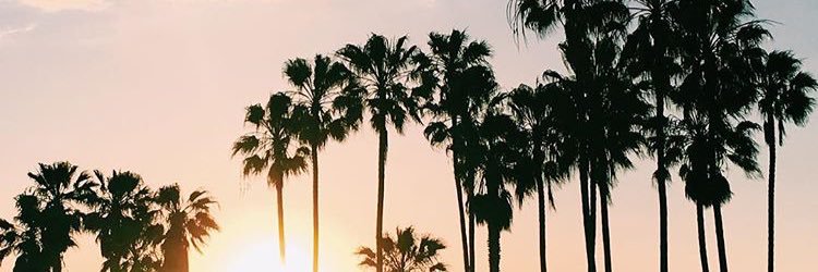 marlytoro's profile banner image