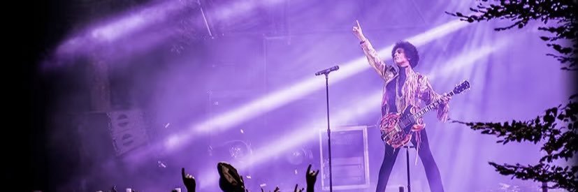 Msruth8's profile banner image