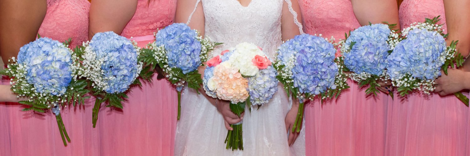 kaylaharrison's profile banner image