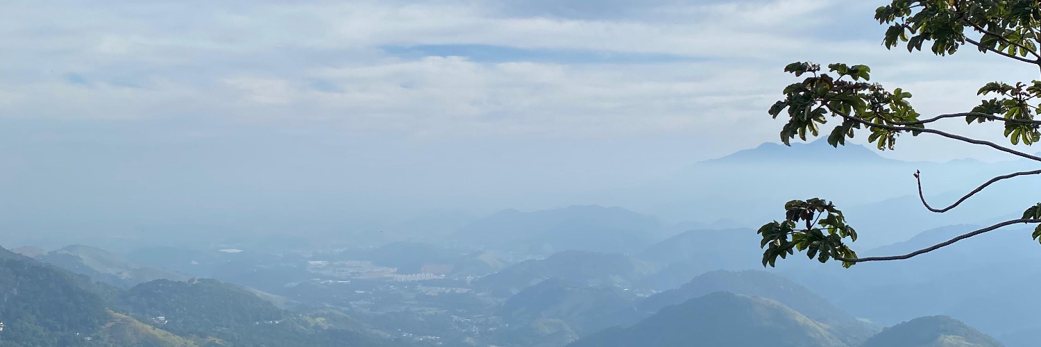 lzmrss's profile banner image