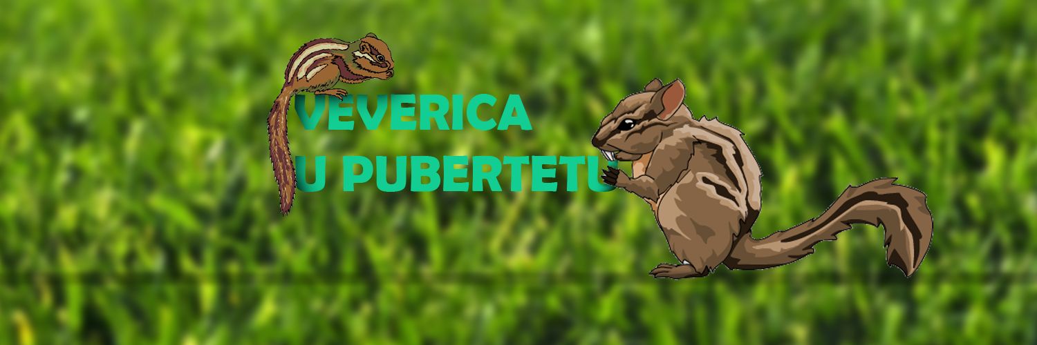 dimnaveverica's profile banner image