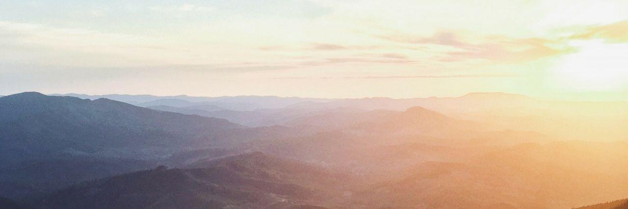 wildestandfree's profile banner image