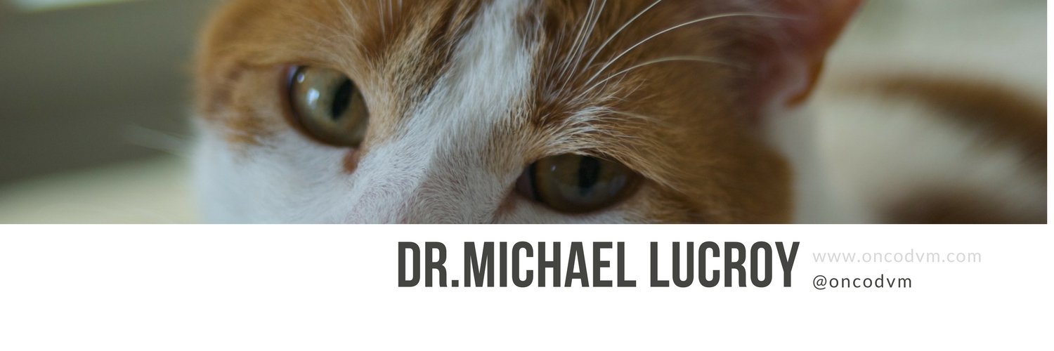 Michael Lucroy, DVM banner