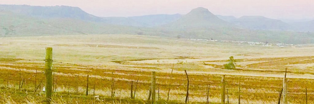 lunga_singama banner