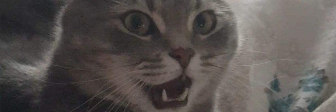 ErolDorukhan's profile banner image