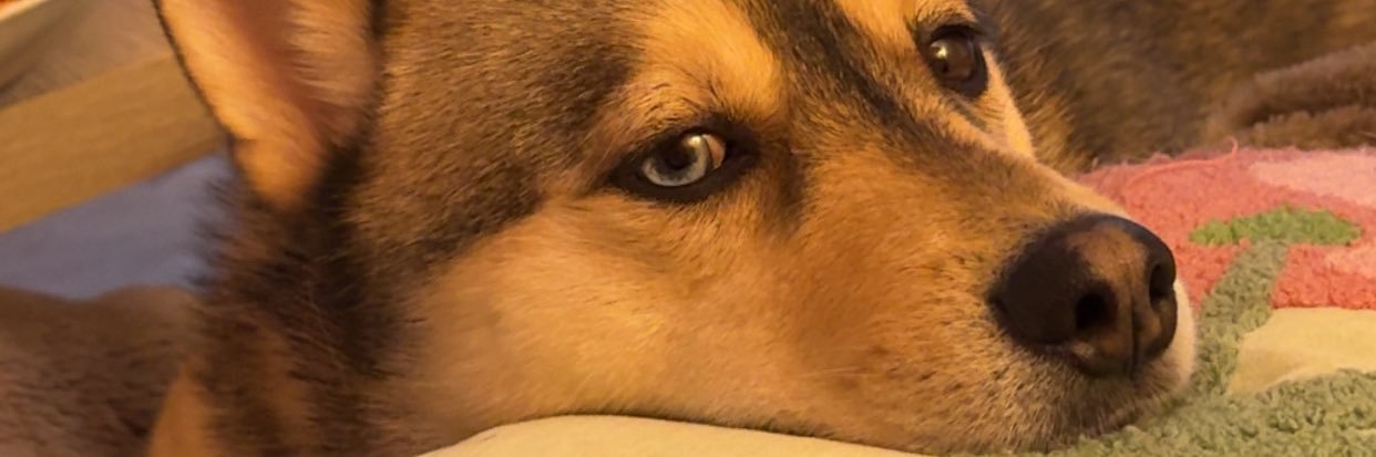 chloescmdt's profile banner image