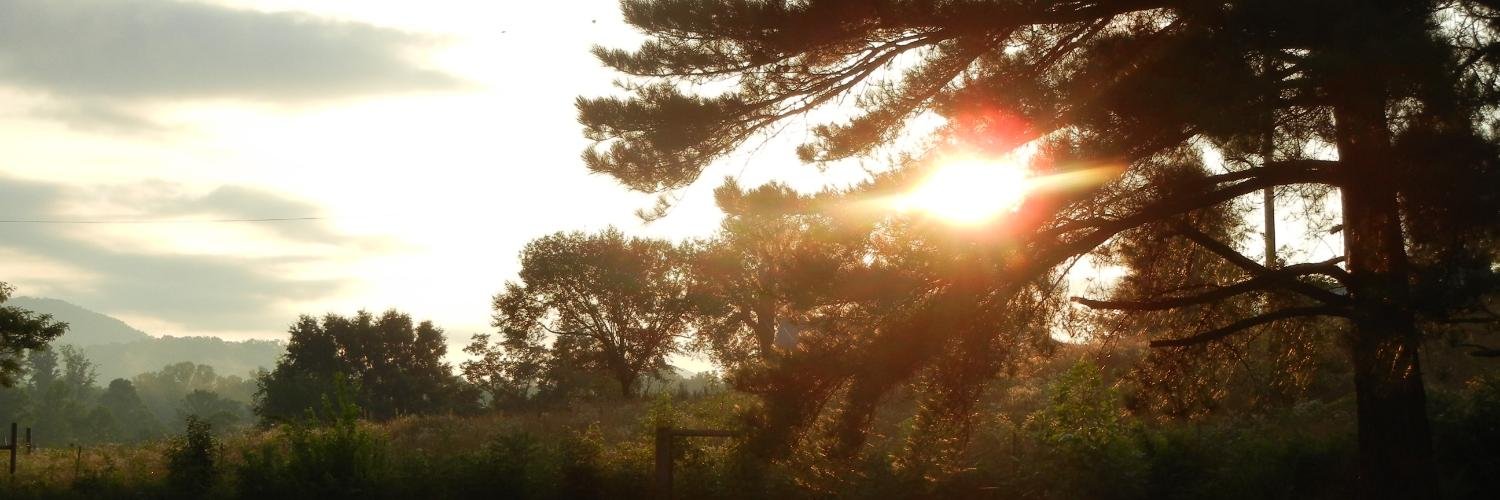 jweberguitar's profile banner image