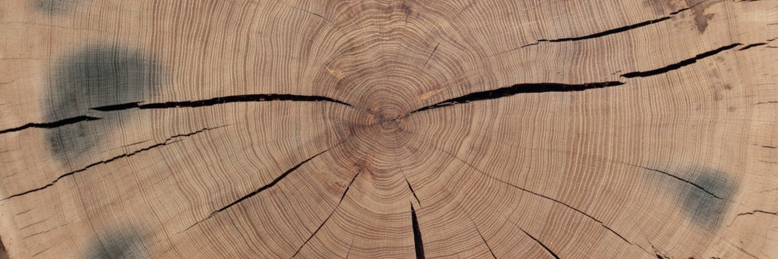 Kristof Haneca banner