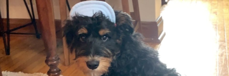 tdog514's profile banner image