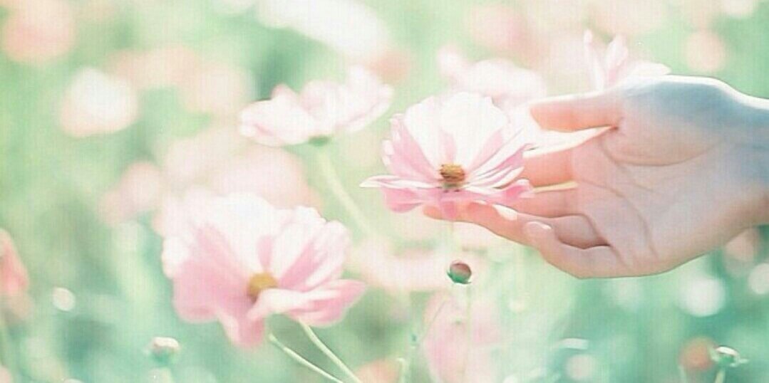 fxssul_'s profile banner image