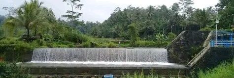 J pagak banner