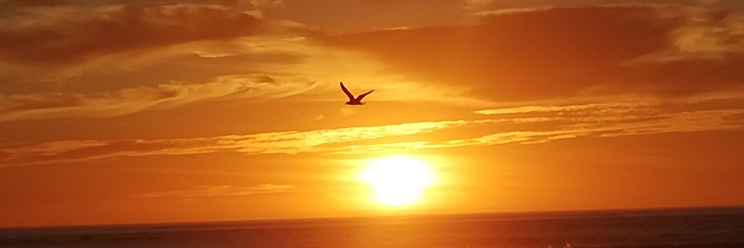 JoniLyne's profile banner image