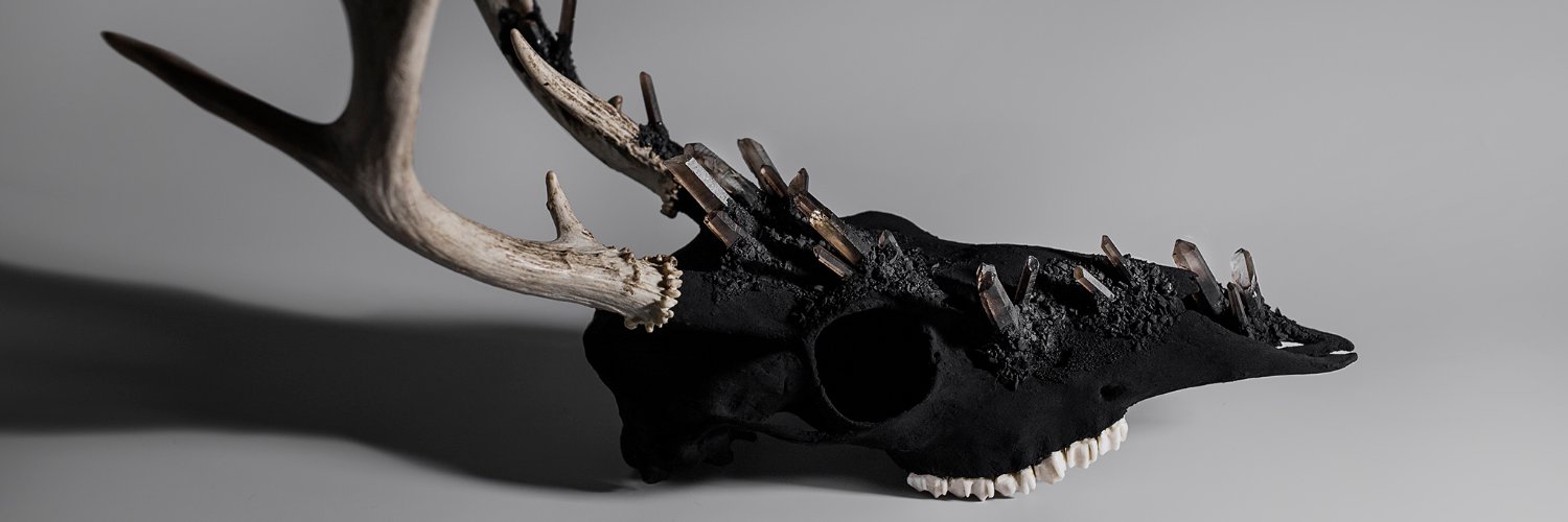 caniscalva's profile banner image