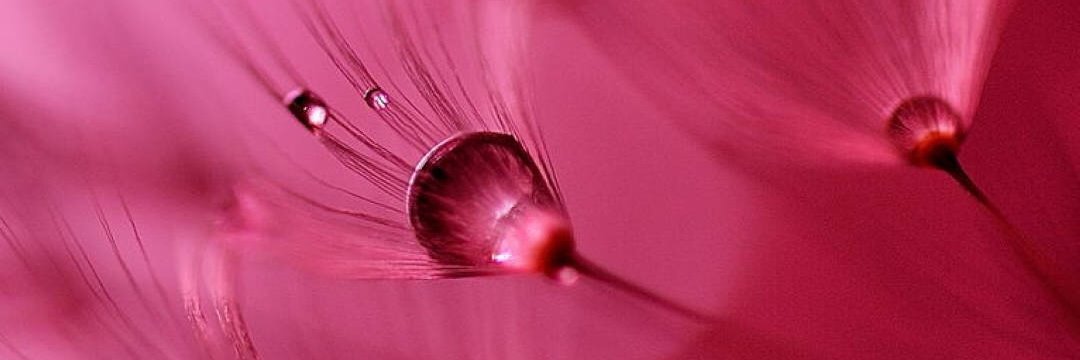 aki6911's profile banner image