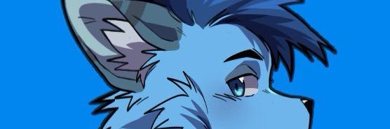 TyFoofy's profile banner image