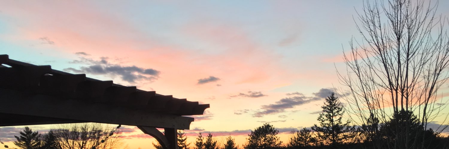 allieamy3's profile banner image