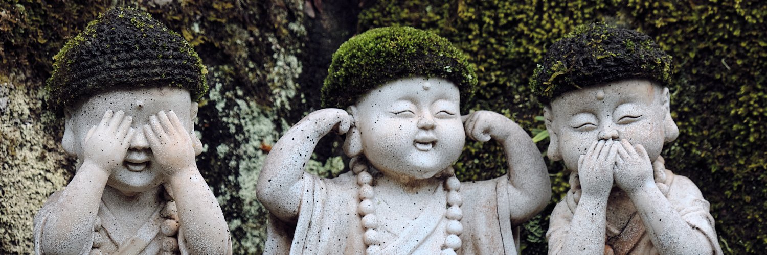 Stephen Lichota banner