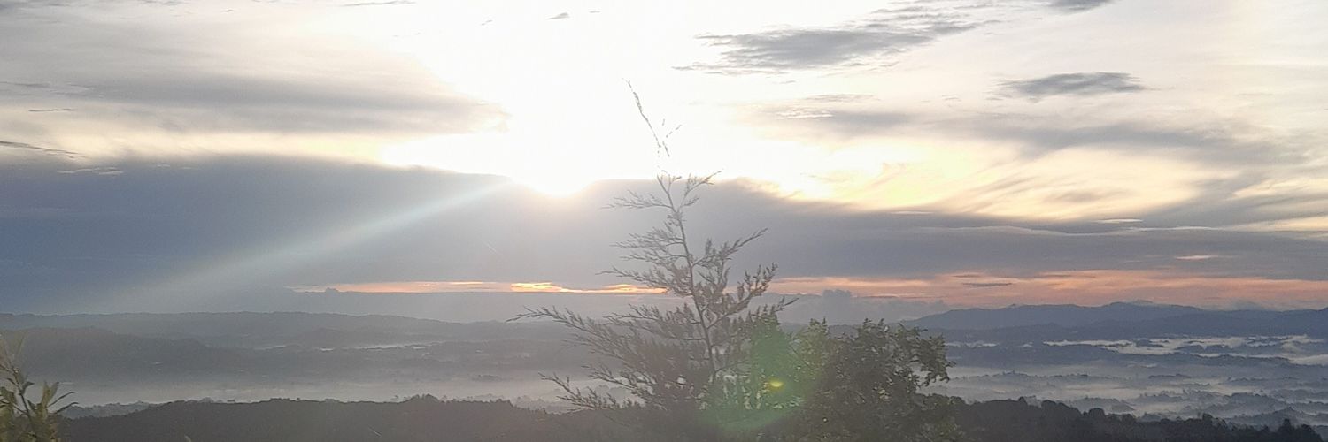 VozParaCallar's profile banner image