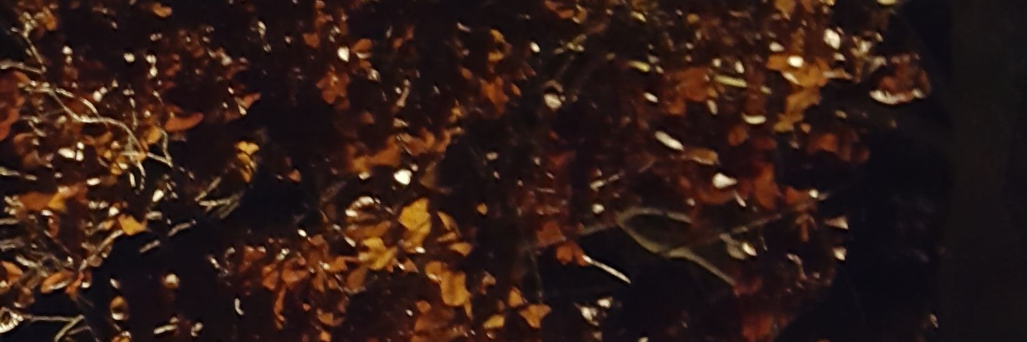 maggietibble's profile banner image