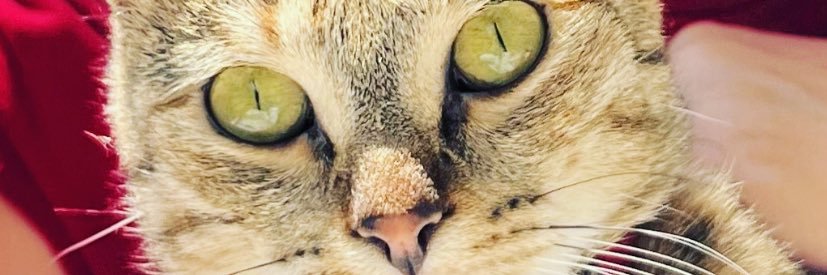 fndyavuz34's profile banner image