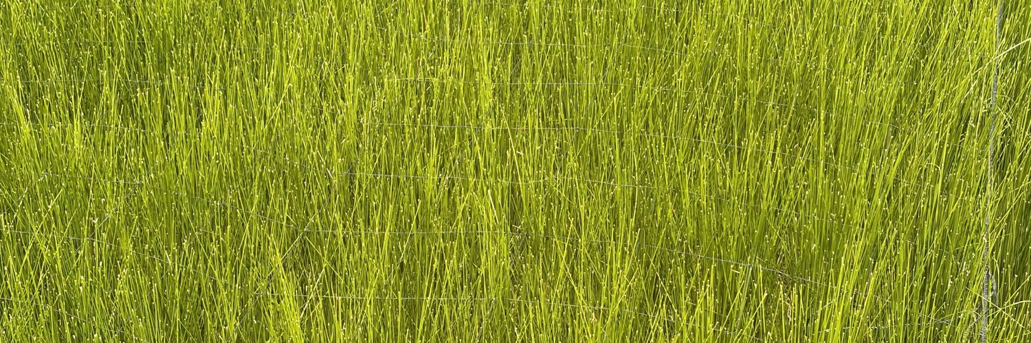 M096k's profile banner image