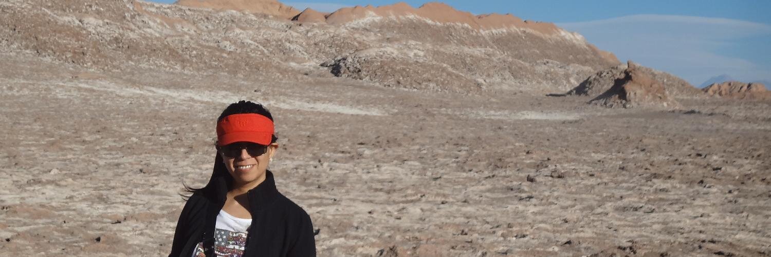 gabymontecino's profile banner image
