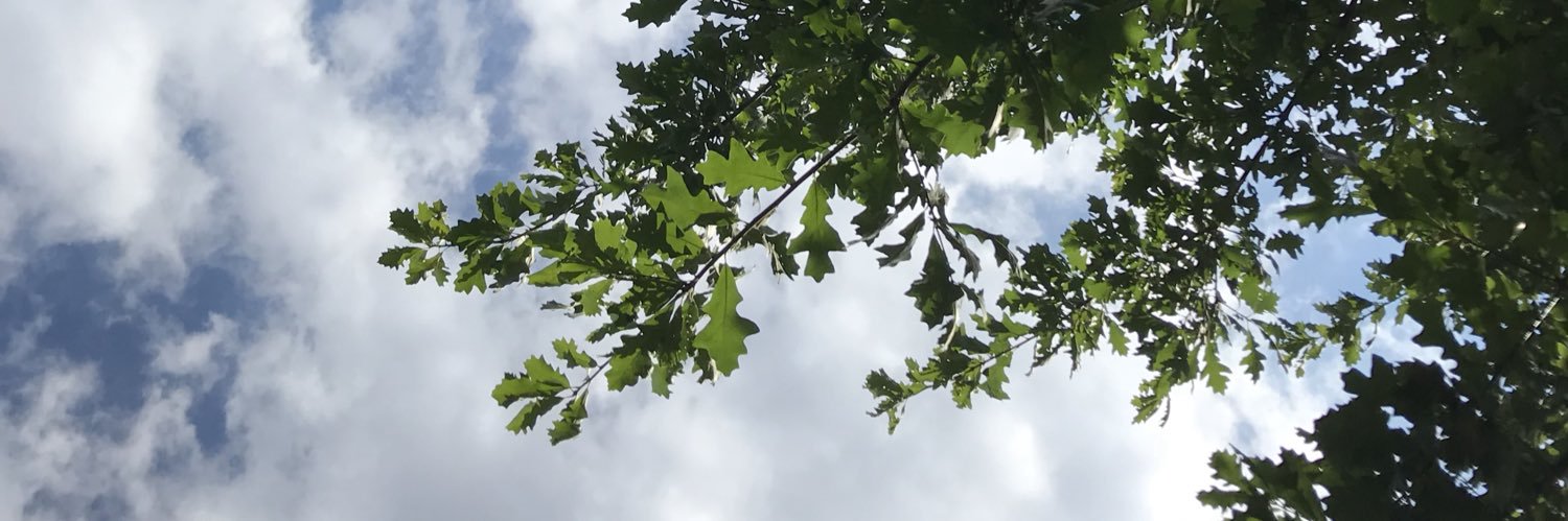 myl0rd's profile banner image