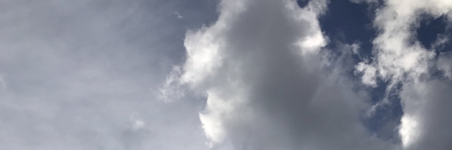guncop's profile banner image