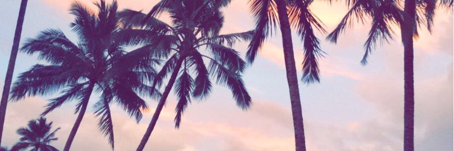 SamnthaHamilton's profile banner image