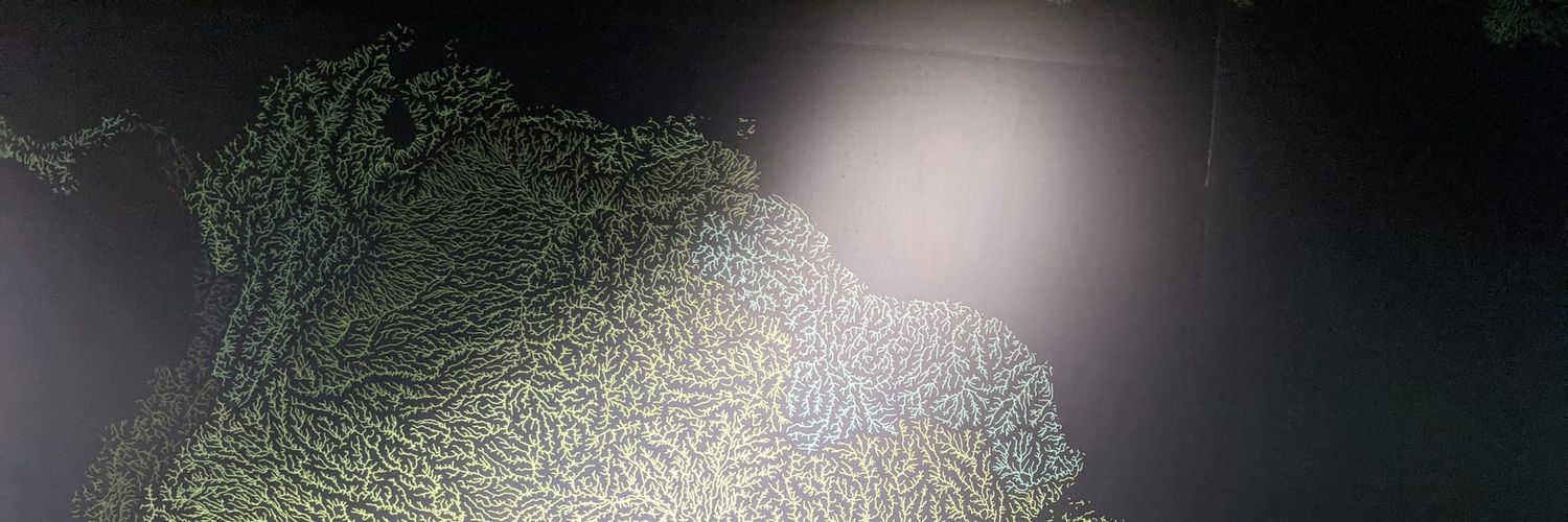 Daniela Ricci banner