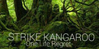 STRIKEKANGAROO's profile banner image